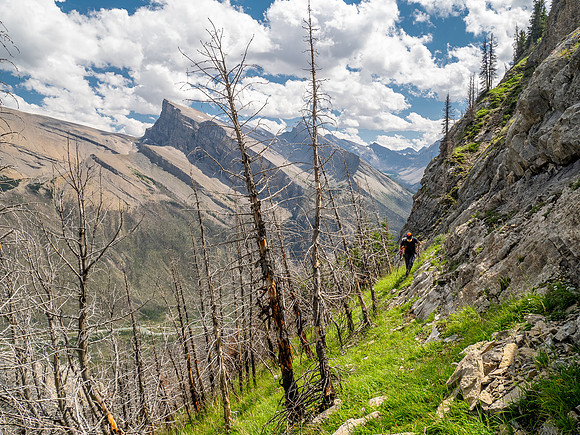 Ascending the SE slopes of Siffleur Mountain.