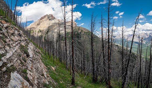 Ascending the SE slopes of Siffleur Mountain.