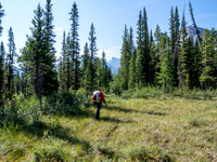 Hiking the Siffleur River Trail.