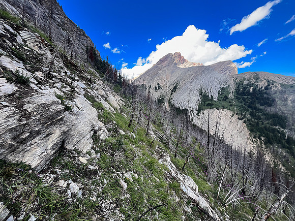 Ascending the SE slopes of Siffleur Mountain.