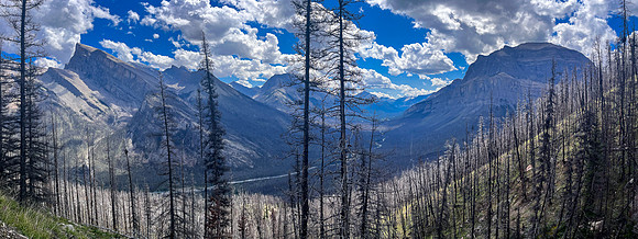 Ascending lower SE slopes of Siffleur Mountain.