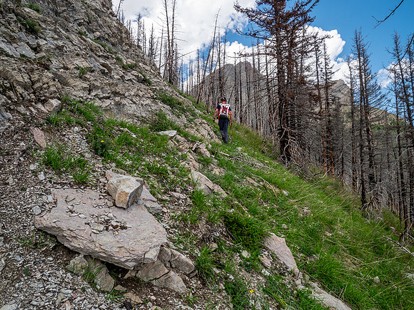 Ascending the SE slopes of Siffleur Mountain.