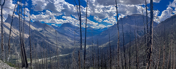 Ascending lower SE slopes of Siffleur Mountain.
