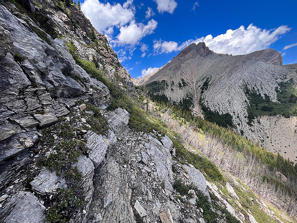 Ascending the SE slopes of Siffleur Mountain.