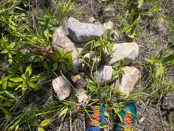 Hiking the Siffleur River Trail.