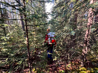 Hiking the Siffleur River Trail.