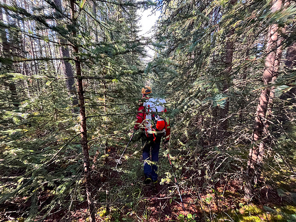 Hiking the Siffleur River Trail.