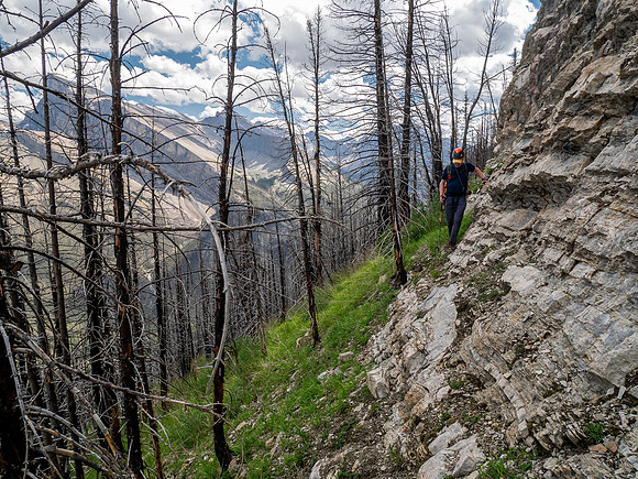 Ascending the SE slopes of Siffleur Mountain.