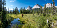 Hiking the Siffleur River Trail.