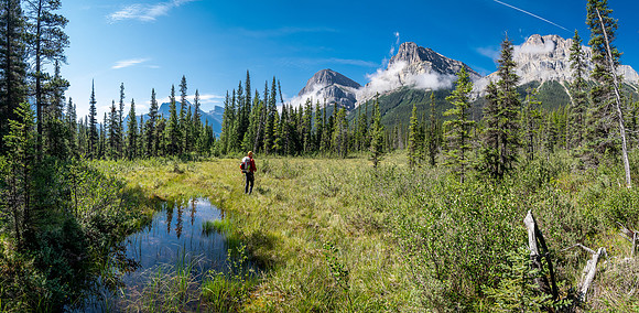 Hiking the Siffleur River Trail.