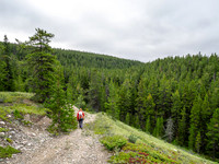 Hiking the Siffleur River Trail.