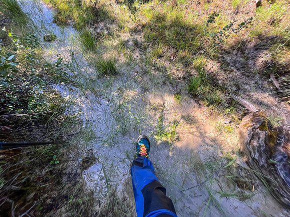 Hiking the Siffleur River Trail.