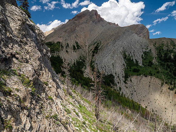 Ascending the SE slopes of Siffleur Mountain.