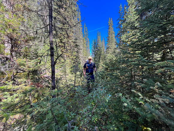 Hiking the Siffleur River Trail.