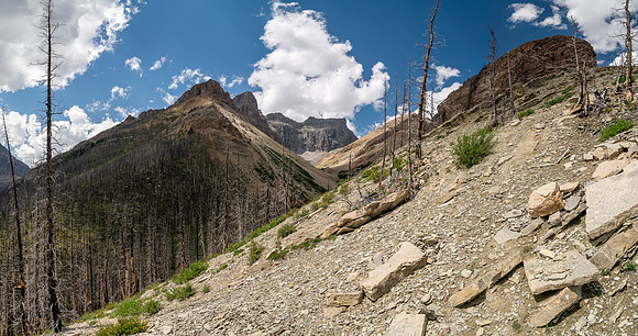 Ascending the SE slopes of Siffleur Mountain.