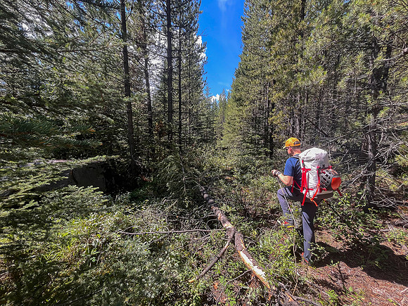 Hiking the Siffleur River Trail.