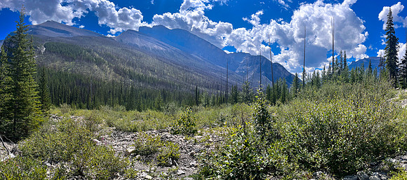 Hiking the Siffleur River Trail.