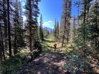 Hiking the Siffleur River Trail.