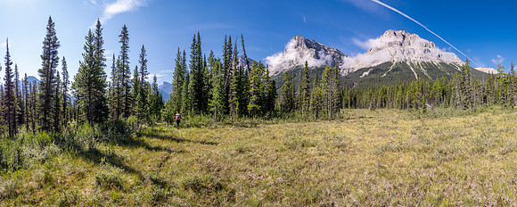 Hiking the Siffleur River Trail.