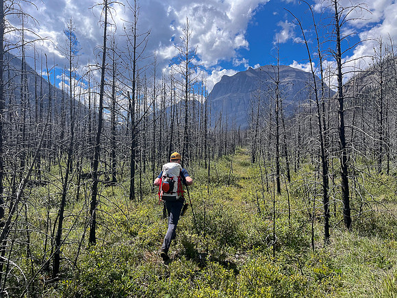 Hiking the Siffleur River Trail.
