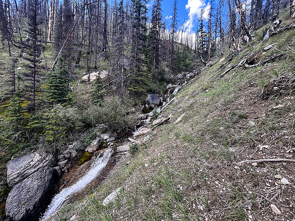 Ascending lower SE slopes of Siffleur Mountain.
