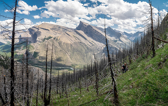 Ascending the SE slopes of Siffleur Mountain.