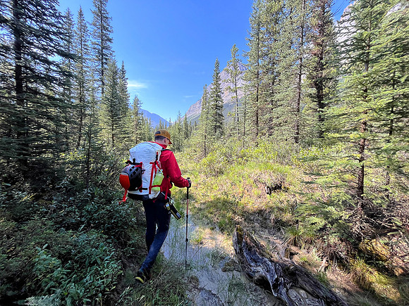 Hiking the Siffleur River Trail.