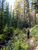 Soda Creek is still running as we start up the good trail alongside it.