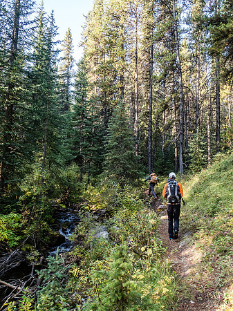 Soda Creek is still running as we start up the good trail alongside it.