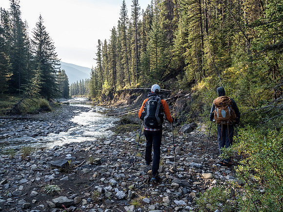 The Oldman River is fairly unimpressive this late in the season - we should be up on the bank at right here where a trail leads to the Soda Creek Trail just ahead.