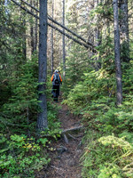 Hiking up Soda Creek.