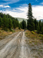Back on the Oldman River Road which continues north, past where we parked and was easily drivable for the section we walked.