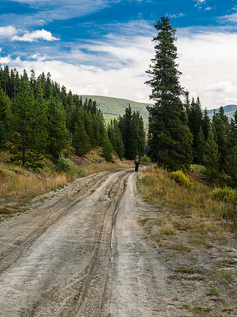 Back on the Oldman River Road which continues north, past where we parked and was easily drivable for the section we walked.