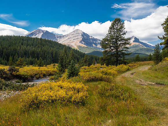 The Memory Lake Trail.