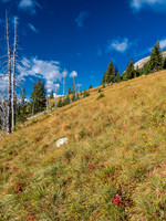 Traversing to the easy south ridge over grassy meadows.