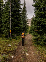Starting along the Memory Lake trail towards Mount Gass - note the sign at left indicating the border of the Beehive Natural Area which the OHV track skirts and flirts with.