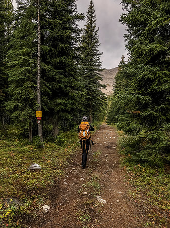 Starting along the Memory Lake trail towards Mount Gass - note the sign at left indicating the border of the Beehive Natural Area which the OHV track skirts and flirts with.