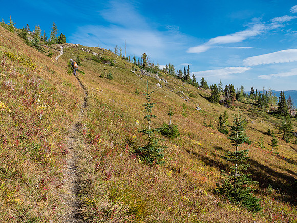 On the Great Divide Trail now, heading north for a few hundred meters before we'll turn up towards the north shoulder of Beehive to our left.