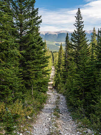 The Memory Lake OHV Trail is pretty straight!