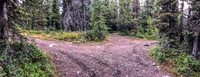 The junction with the Memory Lake Trail and the GDT.