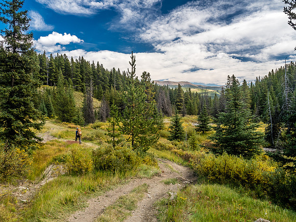 Pleasant hiking along Memory Creek which merges with Oyster Creek and Pasque Creek and becomes the Oldman River further downstream.