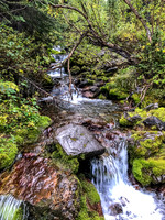 Streams along the GDT provide welcome sources of fresh water even this late into a dry summer.