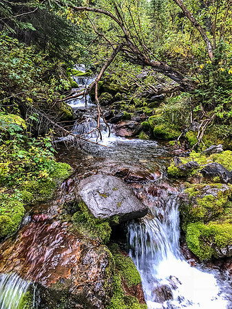 Streams along the GDT provide welcome sources of fresh water even this late into a dry summer.