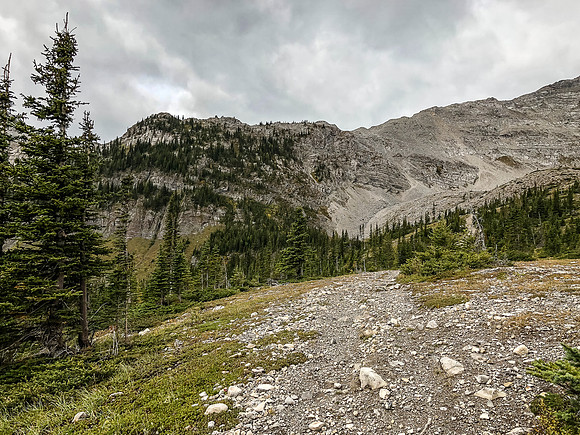 Our two options loom over the OHV track. We took the treed ledges on ascent but this is much harder than it looks.
