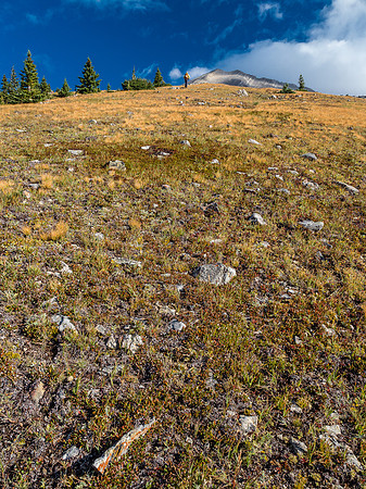 Now on the lower south ridge looking up the easy ascent to the summit above.