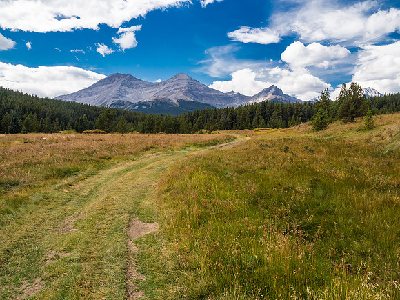 The Memory Lake Trail.