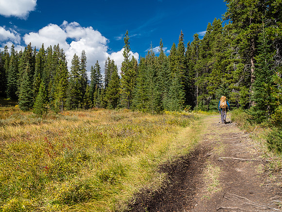 The Memory Lake Trail.
