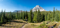 Fairly quickly we start encountering nice alpine meadows surrounded by Spruce and Larch trees. Beehive looms above us here.