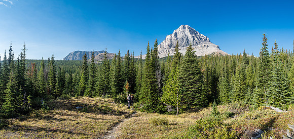 Fairly quickly we start encountering nice alpine meadows surrounded by Spruce and Larch trees. Beehive looms above us here.