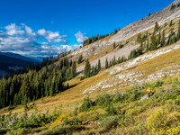 The traverse across the bottom of the south face of Gass was very pleasant. There was evidence of Grizzlies in these alpine meadows.